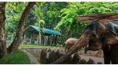 Taman Margasatwa Ragunan Hadirkan Wisata Malam Mulai Hari Ini, Pramono Anung akan Bangun Parkir Bertingkat untuk Atasi Kemacetan