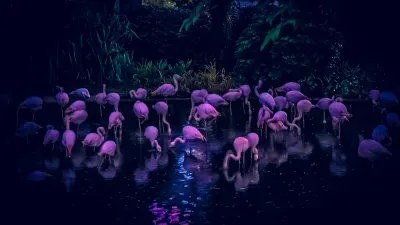 Wisata Malam Mingguan di Kebun Binatang Ragunan Perlu Siapkan Budget Berapa? Gak Bikin Kantong Bolong Kok!
