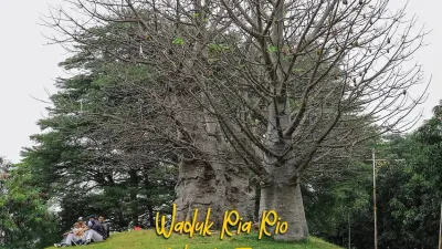 Waduk Ria Rio, Salah Satu Ruang Hening untuk Recharge Energi di Jakarta. (Sumber: Instagram.com/@dkijakarta)