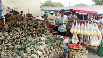 Manfaatkan KUR BRI, Pedagang Nanas Raup Omzet Besar dan Buka Lapangan Kerja Baru