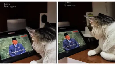 Video 'Bobby Kertanegara' Serius Melihat Presiden Prabowo Pidato di Sidang PBB (Sumber: TikTok @bobbykertanegara)