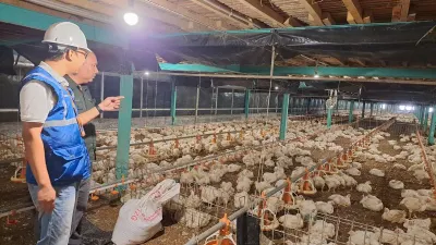 Pemerintah secara konsisten menjaga tarif tenaga listrik tetap terjangkau sepanjang tahun 2025 demi memprioritaskan daya beli masyarakat. (Sumber: Ist)