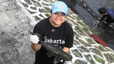 Mulai Meresahkan, Pramono Anung Siap Gelar Rapat Khusus Ledakan Populasi Ikan Sapu-sapu di Jakarta! 