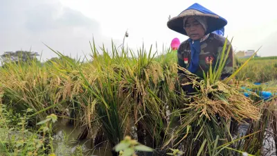 Berbagai langkah antisipasi dilakukan oleh Pemprov DKI Jakarta untuk menghadapi fenomena El Nino yang dapat mengganggu pasokan pangan. (Sumber: Beritajakarta.id | Foto: Beritajakarta.id)