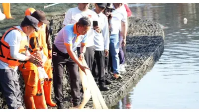 Wali Kota Jaktim Pimpin Pengendalian Ikan Sapu-sapu, 320 Kg Berhasil Ditangkap di Embung Kaja