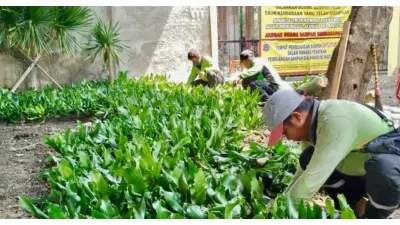 Bekas TPS Sampah Ilegal Diubah Jadi Ruang Hijau (Sumber: beritajakarta.id)