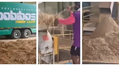 Bobibos Akhirnya Resmi Memproduksi Bahan Bakar di Timor Leste (Sumber: Instagram @bobibos_)