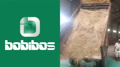 Bobibos Banjir Kritik, Ada Kejanggalan dari Proses Produksi BBM Ramah Lingkungan di Timor Leste