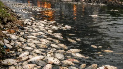 Masih Menunggu Hasil Uji Lab Sungai Cisadane, DLH Tangerang: Warga Diimbau Jangan Mandi hingga Cuci 