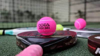 Polemik jam operasional lapangan padel di DKI Jakarta. (Sumber: beritajakarta.id | Foto: beritajakarta.id)