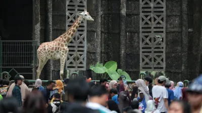 408.755 wisatawan tercatat mengunjungi Taman Margasatwa Ragunan (TMR), Pasar Minggu, Jakarta Selatan di masa libur Natal dan Tahun Baru. (Sumber: Beritajakarta.id | Foto: Beritajakarta.id)