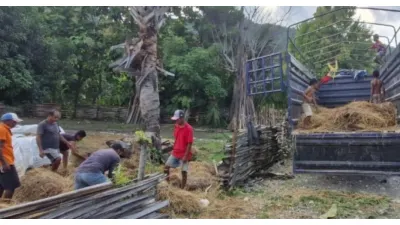 Detik-detik Peluncuran di Timor Leste, BOBIBOS Mulai Mengolah Jerami jadi Cairan Organik, Begini Prosesnya