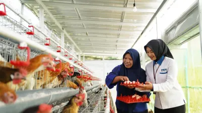 Strategi PNM Tekan Angka Stunting: Rahasia Sukses Program Rumah Pangan di 27 Titik Indonesia