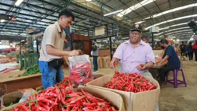 Program MBG Bisa Pengaruhi Stabilitas Harga Pangan, DPRD DKI Jakarta: Pemprov Harus Jaga Stabilitas Harga