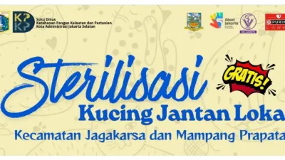 Program Sterilisasi Kucing Lokal Gratis (Sumber: Instagram @sudin.kpkp.jaksel)