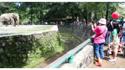 Taman Margasatwa Ragunan (TMR) Ramai Pengunjung (Sumber: beritajakarta.id)