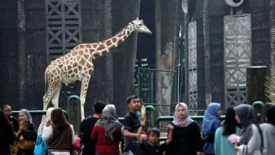 Taman Margasatwa Ragunan (TMR), Pasar Minggu, Jakarta Selatan, menyiapkan beragam kegiatan menarik untuk memeriahkan perayaan Hari Ulang Tahun (HUT) ke-499 Kota Jakarta. (Sumber: beritajakarta.id | Foto: beritajakarta.id)