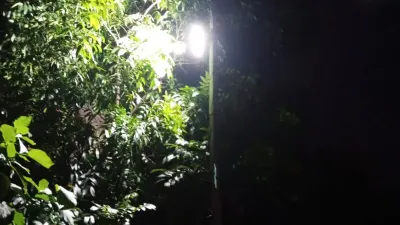 Area Hutan Kota Cawang di Jalan DI Panjaitan, Kelurahan Kebon Pala, Kecamatan Makasar, Jakarta Timur kini ditambah pemasangan 3 lampu sorot. (Sumber: beritajakarta.id | Foto: beritajakarta.id)