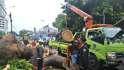 Petugas gabungan berhasil mengevakuasi pohon tumbang di Jalan Lenteng Agung Raya, Kelurahan Lenteng Agung, Kecamatan Jagakarsa, Jakarta Selatan. (Sumber: Beritajakarta.id | Foto: Beritajakarta.id)