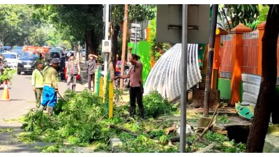 Pohon Tumbang di Jalan Pakubuwono VI, Kebayoran Baru, Jakarta Selatan (Sumber: beritajakarta.id)