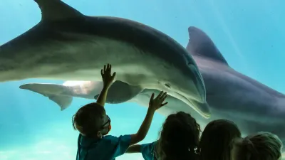 Sensasi Baru Libur Lebaran! Sea World Ancol Hadirkan Midnight Glow, Buka Sampai Malam Hari