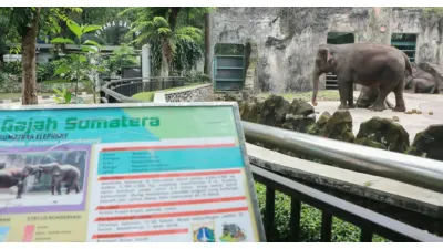 Manjakan Wisatawan di Masa Liburan, Ragunan hadirkan Atraksi Edukatif dan Hiburan Menarik, Catat Tanggalnya