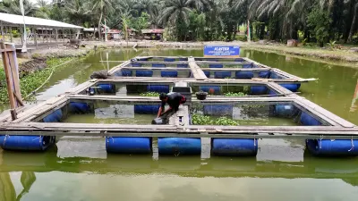 Dari Perkebunan hingga UMKM, Pemberdayaan BRI Perkuat Fondasi Ekonomi Masyarakat Desa Empang Baru