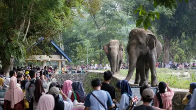 Libur Idul Adha 2026, Taman Margasatwa Ragunan Tetap Buka pada 27-28 Mei 2026, Catat Jam Operasionalnya