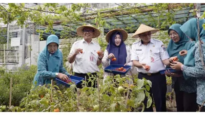 Urban Farming di DKI Jakarta (Sumber: beritajakarta.id)