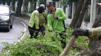 Sudin Tamhut Jakarta Utara tidak hanya fokus pada pemangkasan, tetapi juga rutin melakukan penanaman pohon setiap pekan. (Sumber: beritajakarta.id | Foto: beritajakarta.id)