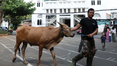Berbagai langkah strategis dilakukan oleh Pemprov DKI Jakarta, termasuk penggunaan wadah daging untuk pendistribusian yang ramah lingkungan. (Sumber: beritajakarta.id | Foto: beritajakarta.id)