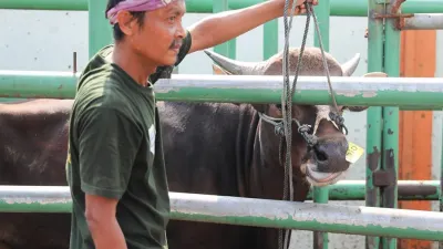 Dinas Ketahanan Pangan, Kelautan dan Pertanian (KPKP) Provinsi DKI Jakarta terus memperkuat kapasitas juru sembelih halal (Juleha) menjelang Hari Raya Iduladha 1447 H/2026 M. (Sumber: Beritajakarta.id | Foto: Beritajakarta.id)