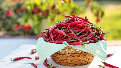 Cabe Merah Tembus Rp80 Ribu per Kg di DKI Jakarta! Jelang Idul Adha 1447 H, 6 Jenis Komoditas Hortikultural Alami Kenaikan