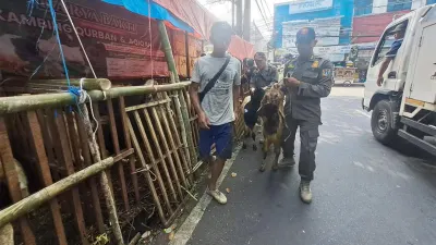 Petugas gabungan yang terdiri dari Satpol PP Jakarta Pusat, Polri, dan TNI lakukan pengawasan dan penertiban terhadap pedagang hewan kurban (Sumber: beritajakarta.id | Foto: beritajakarta.id)