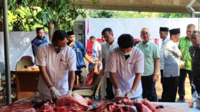 Sudin KPKP Jakarta Selatan lakukan pemeriksaan terhadap 6.803 hewan kurban yang dipotong selama Iduladha 1447 H. (Sumber: beritajakarta.id | Foto: beritajakarta.id)