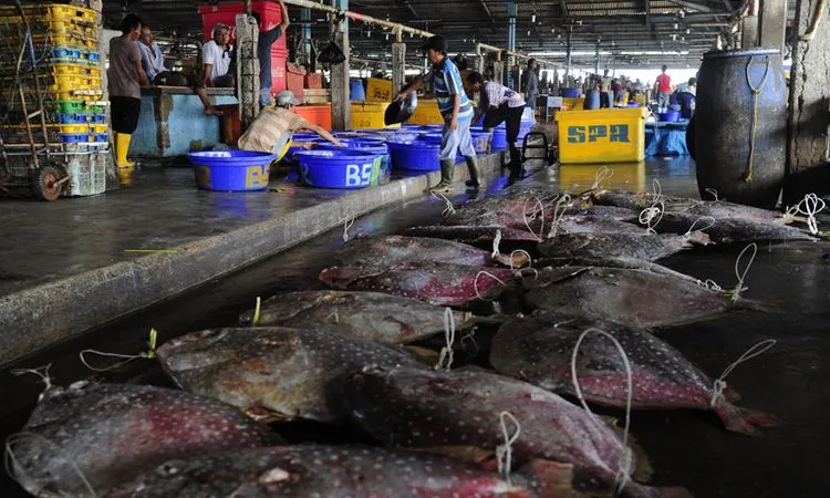 [ilustrasi] Ikan segar di Pasar Ikan Modern Muara Baru, Penjaringan, Jakarta Utara, 100 persen terbebas dari formalin. (ist)