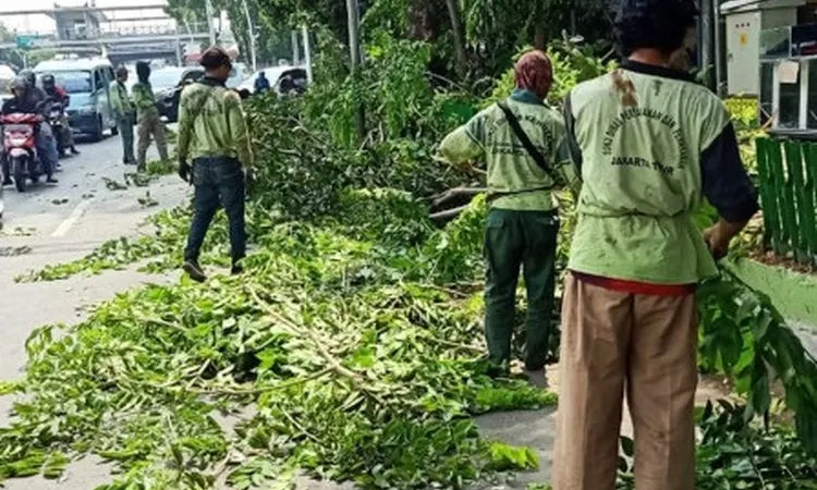 Sepanjang tahun ini, ada 5 ribu pohon du Jakarta Timur sudah dipangkas/dok: beritajakarta.id