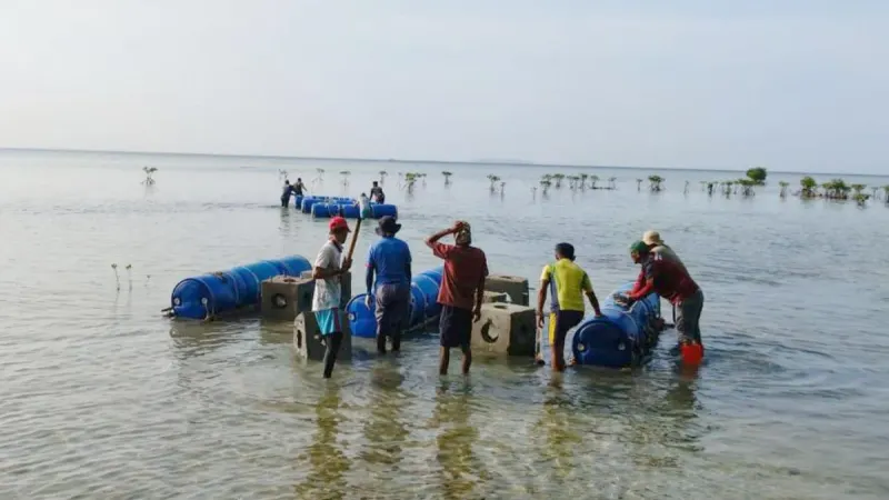 Sebanyak 2.671 unit substrat karang resmi diturunkan di empat pulau kawasan Kepulauan Seribu pada Selasa (23/6/2026). (Sumber: beritajakarta.id | Foto: beritajakarta.id)